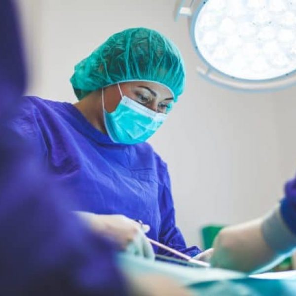My dog has had cruciate surgery…when should I start Rehab?