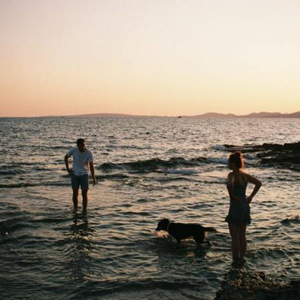 Hydrotherapy in Veterinary Rehabilitation